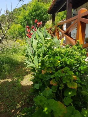 Casa rural La Gomera
